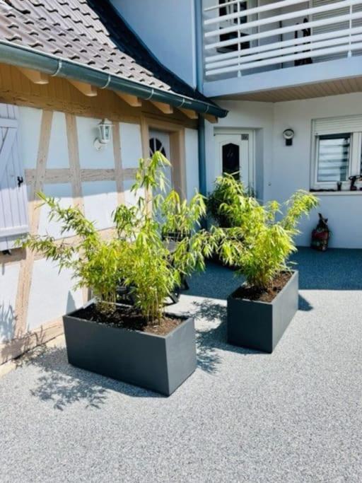 S'Hiesele petite maison alsacienne typique photo 4
