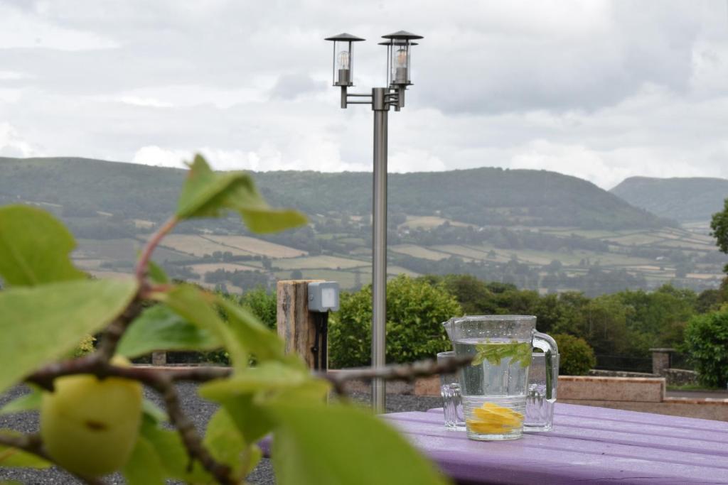 Cowshed in the Black Mountains photo 3