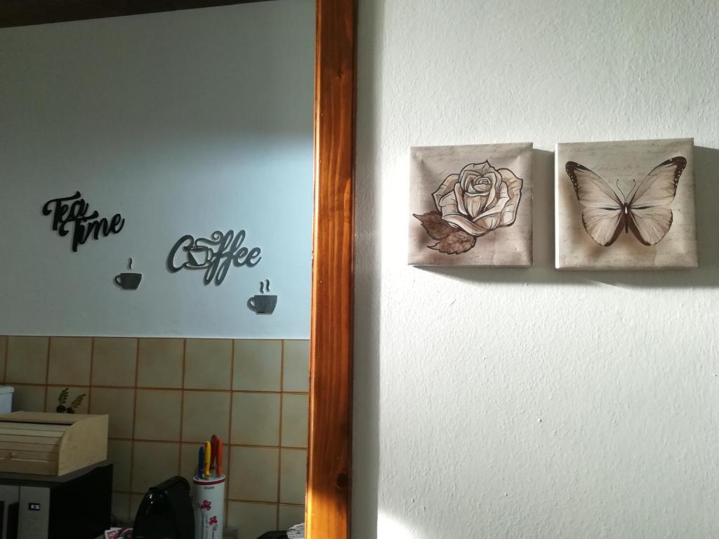 La casa di Ali photo 1