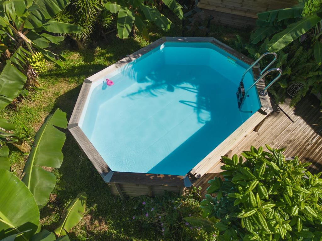 Écrin de Daisy, joli bungalow avec piscine photo 3