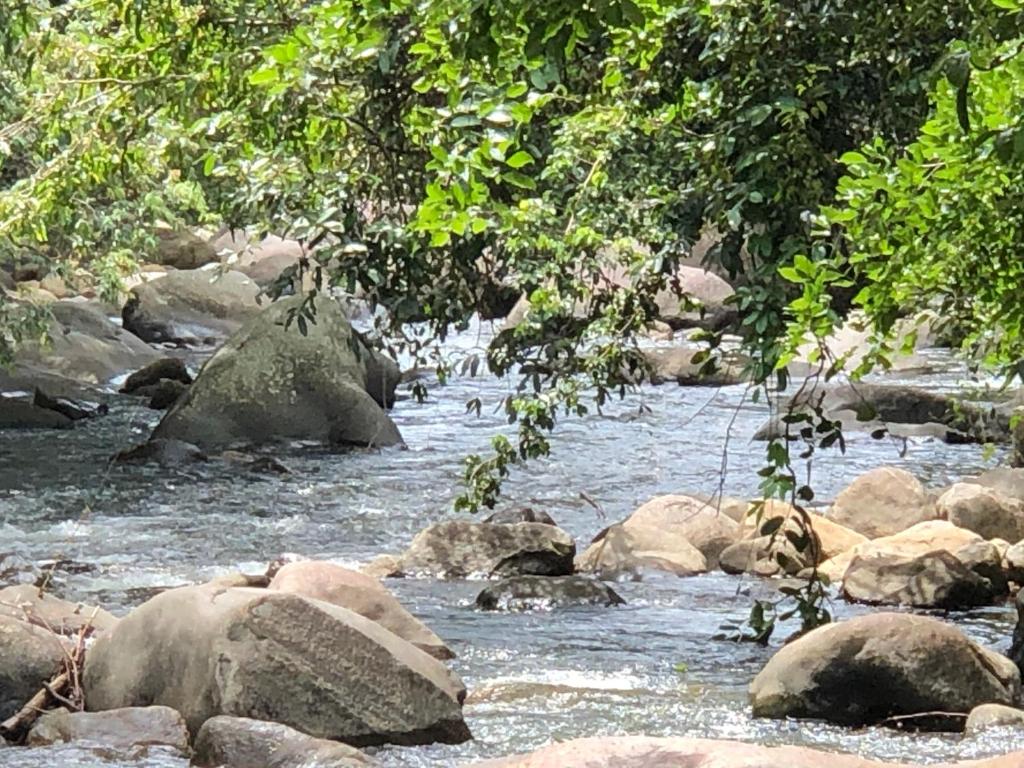 River Garden Resort photo 4