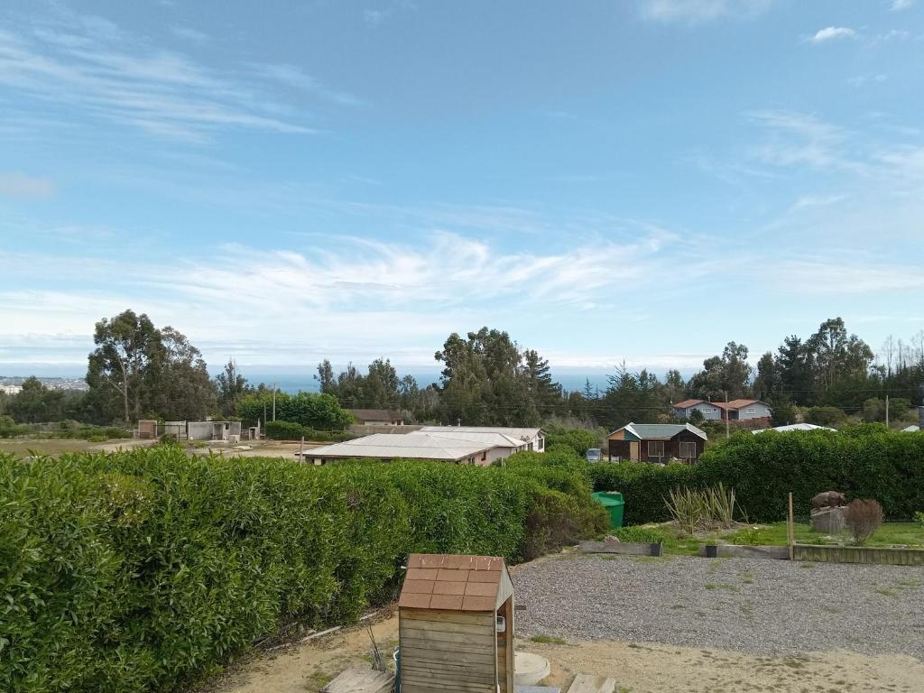 Algarrobomar photo 1