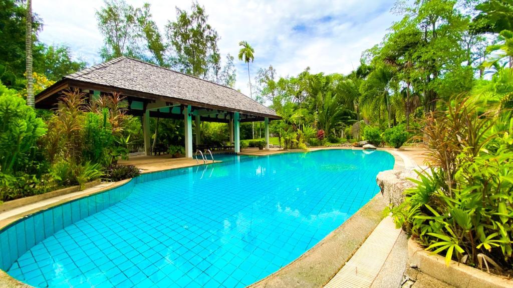 Tropical garden photo 1