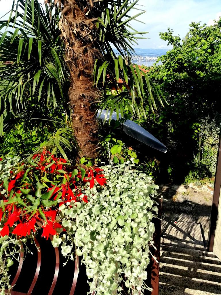 Apartment Cetina photo 2