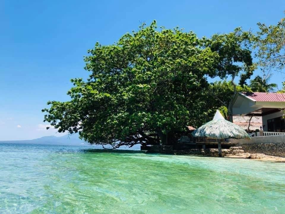 Melbas Homestyle Resort & SPA photo 1