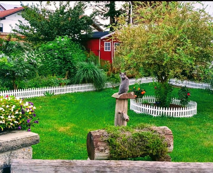 Haus am Bach ausschließlich für Familien !!!! photo 2