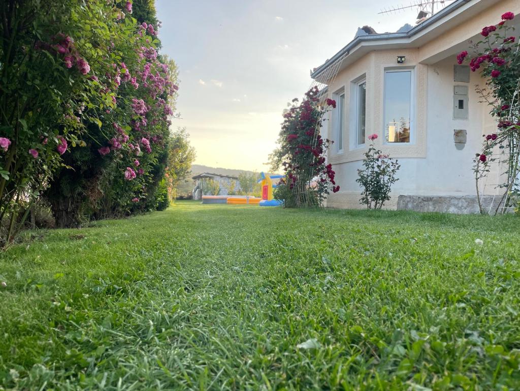 Vila Hristov photo 3