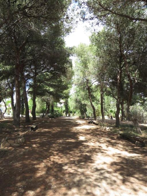 Finca La Jaquima photo 4
