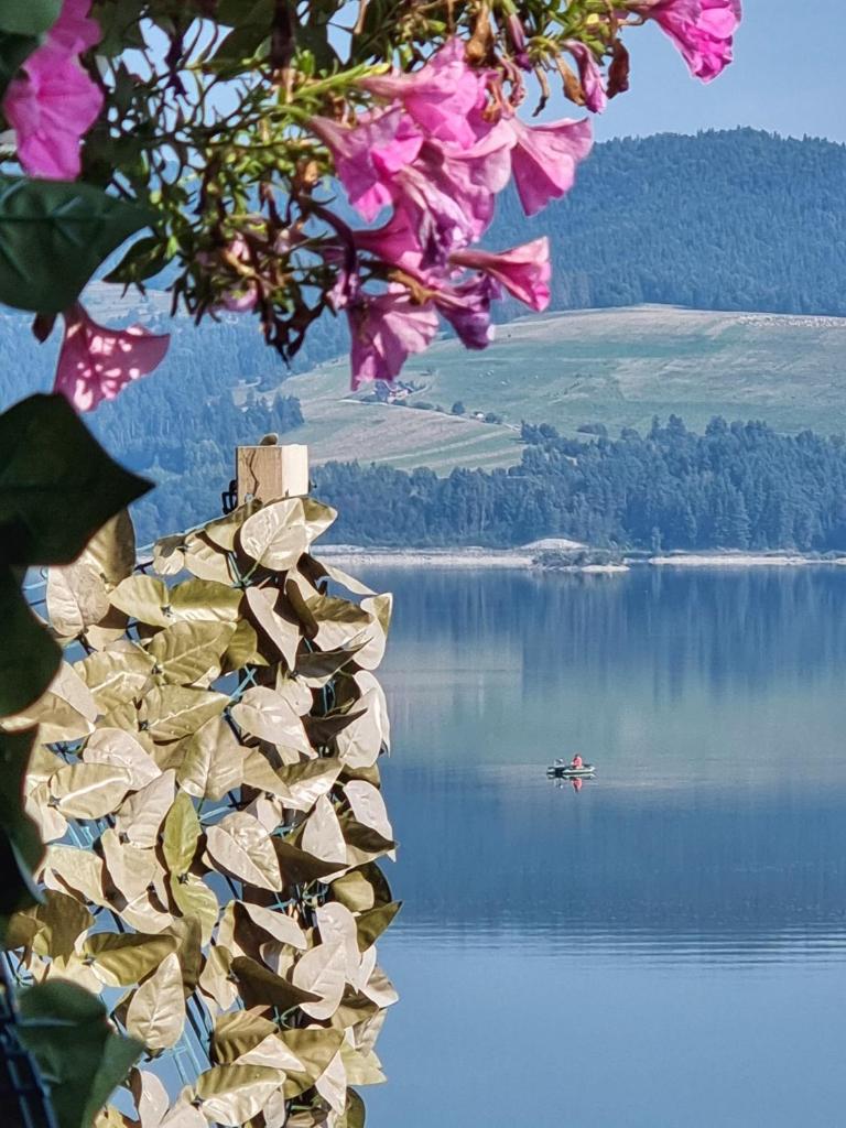 Domek z kominkiem nad jeziorem Czorsztyńskim photo 3