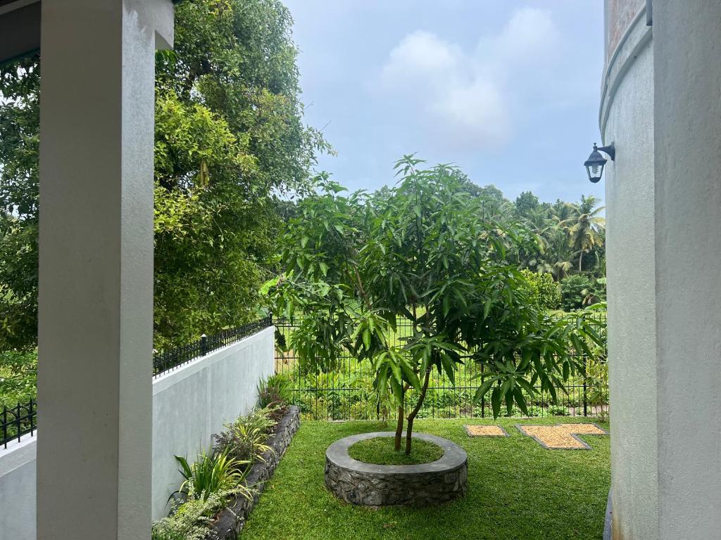 Jas - Sri Lankan Villa photo 2