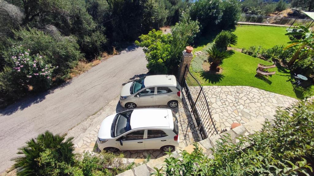Villa Amaryllis photo 1