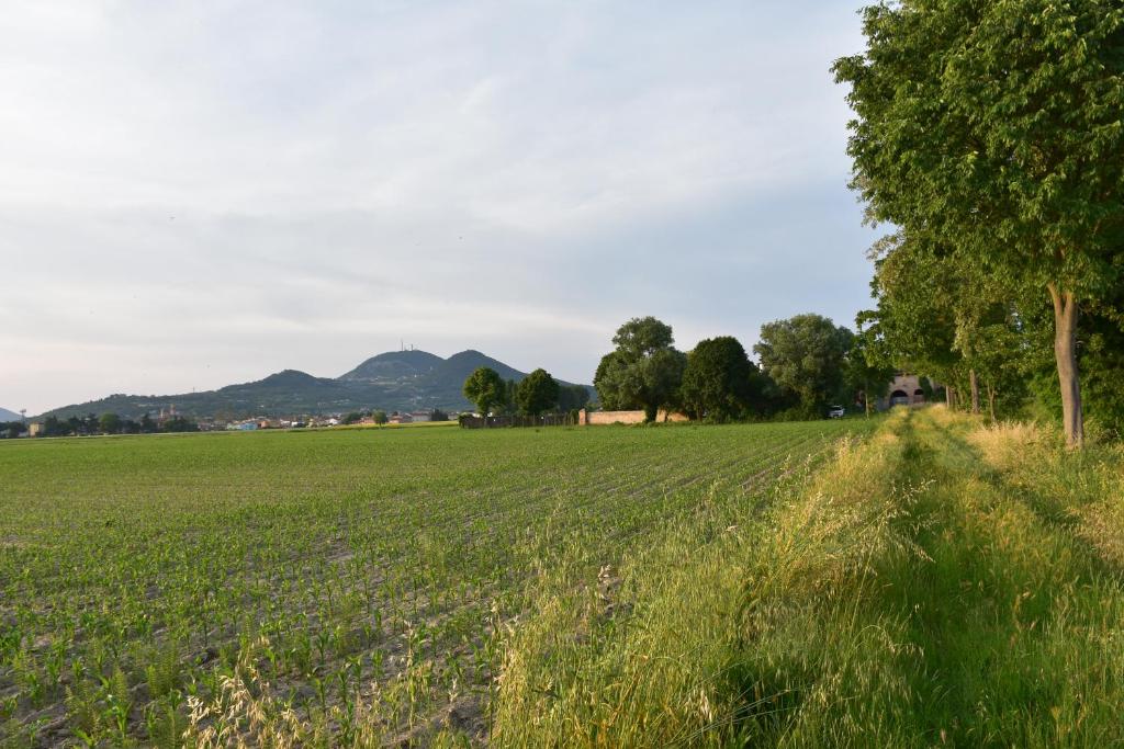 TENUTA BORGATO MORELLI photo 1