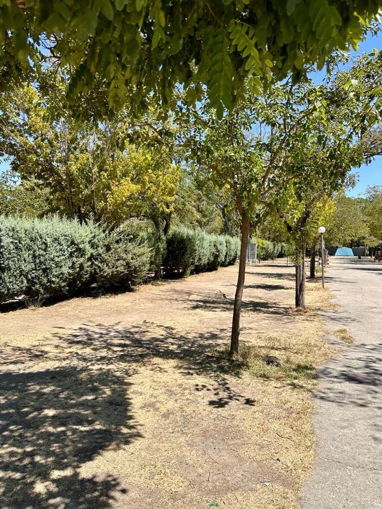 Bungalows Alpha photo 2