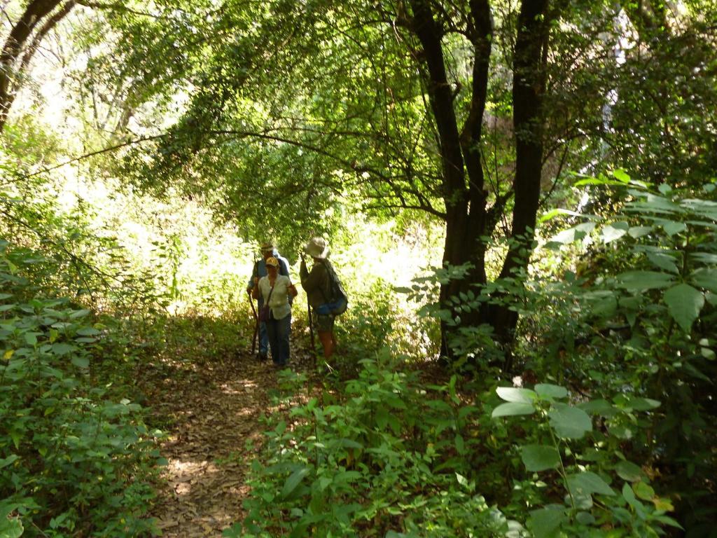 Villa Los Agaves - Hospedería photo 3