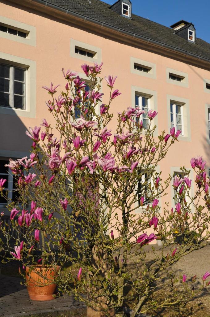 Alte Schmiede in denkmalgeschützter Hofanlage photo 3