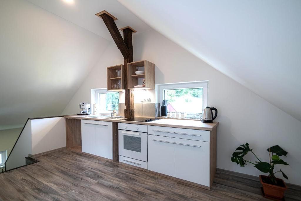 Apartmán Janov photo 2
