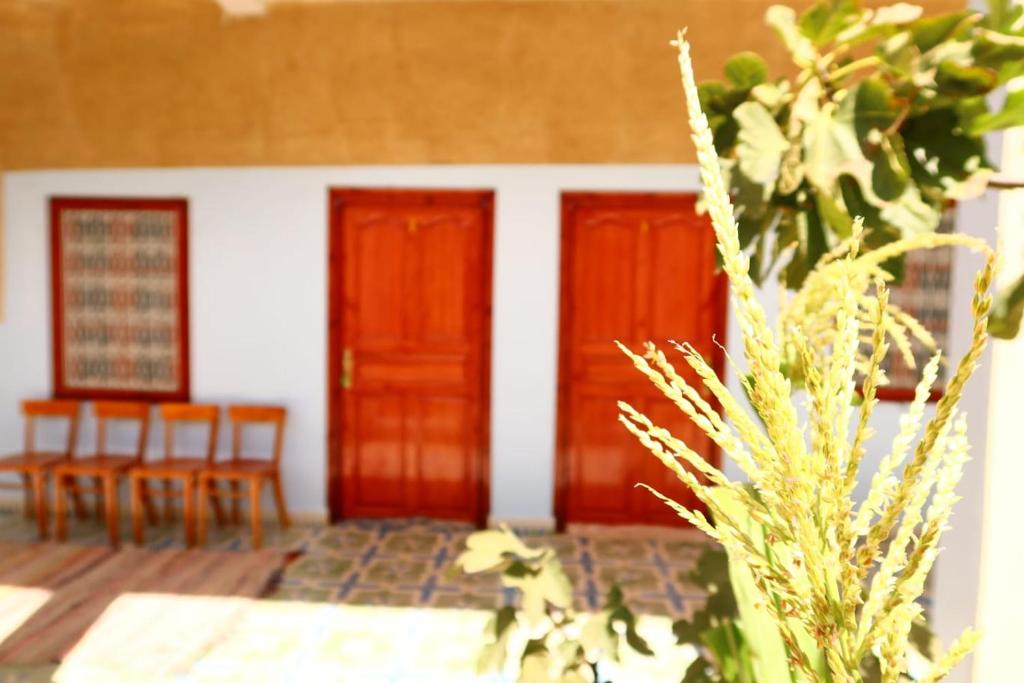 gîte d'étape ziz oasis photo 3