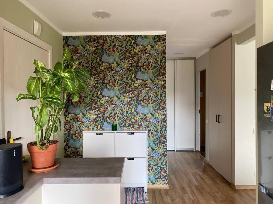 Apartments in Valmiera photo 1
