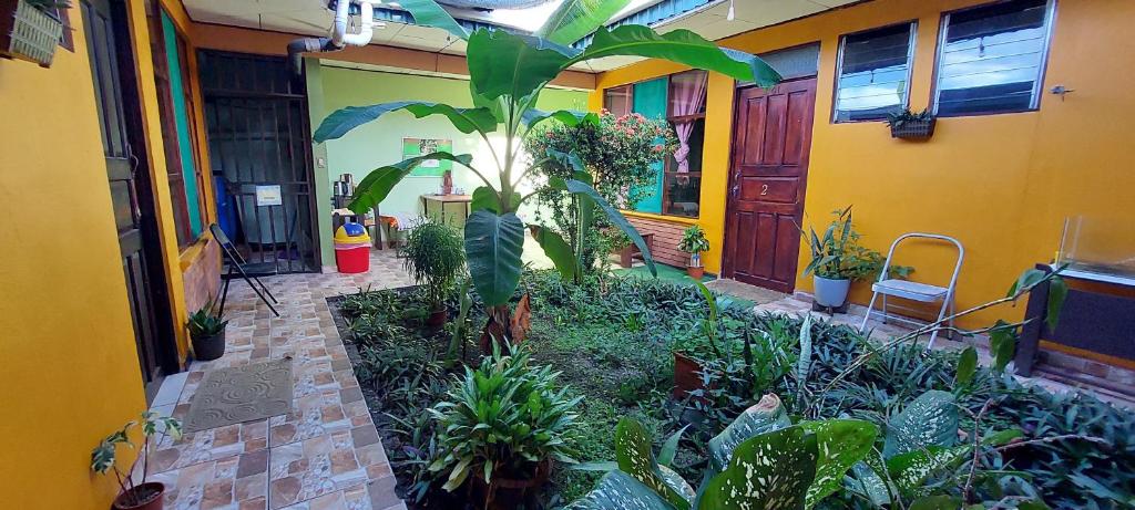 Hospedaje Doña koko photo 4