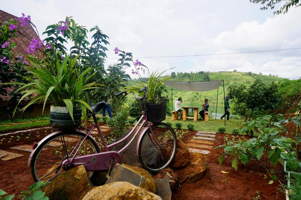 Nhà Baola Bảo Lộc