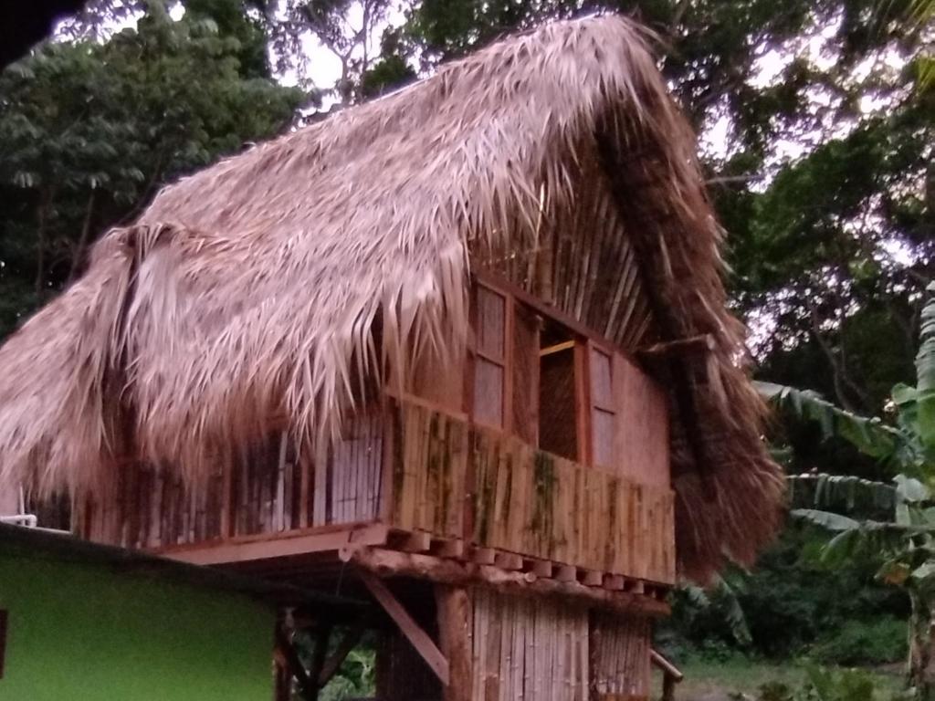 Hostal Inculta photo 4