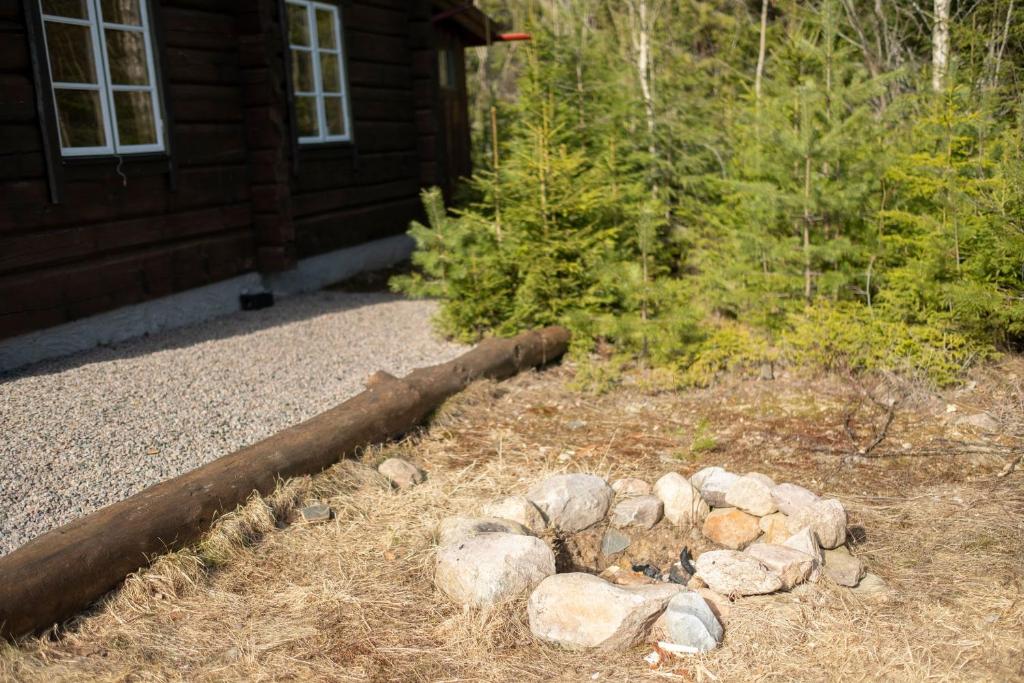 Villa Trötvik, in the deep forest of Värmland photo 3