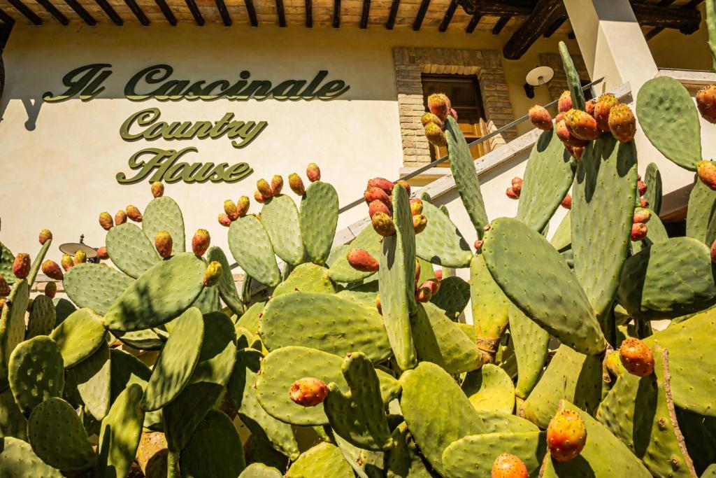 Country House Il Cascinale photo 1