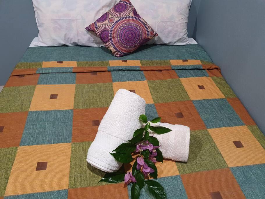 Dr Ron's 2 Bedroom Executive House