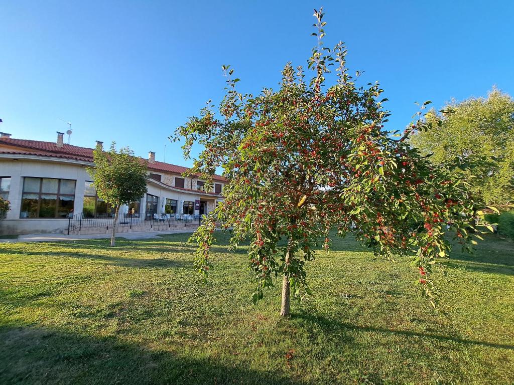 Prado de las merinas photo 3