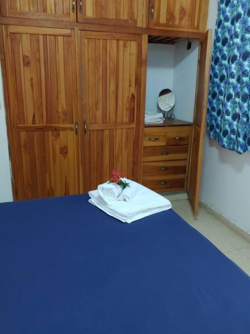 Cozy 1 br 1 bath apartment with free parking photo 1