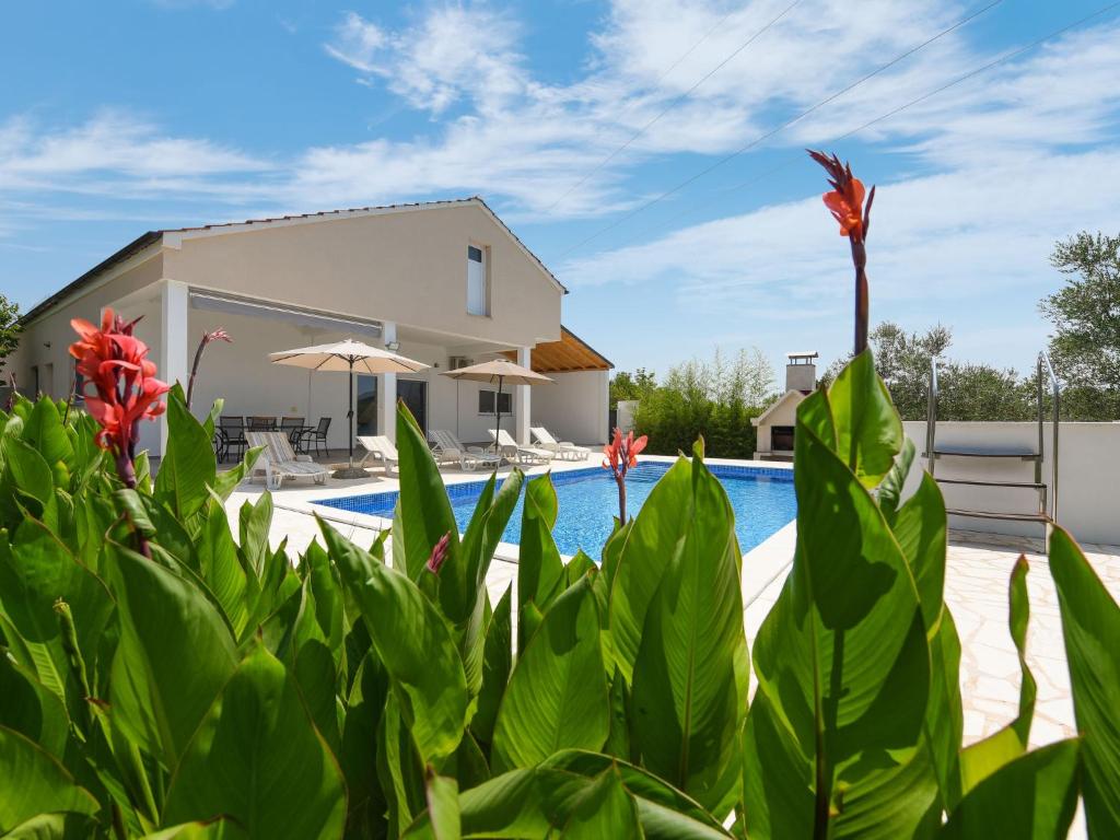 Holiday Home Anima by Interhome photo 2