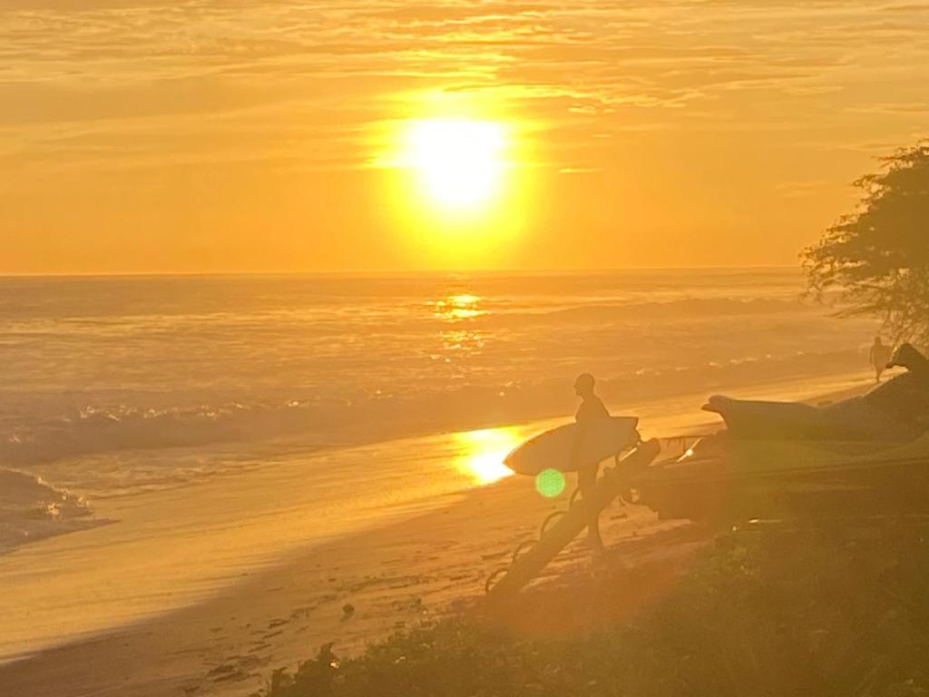 Iguana budged room Stop N Go Surf photo 3
