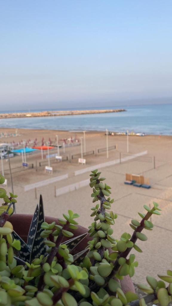 Terrazza sul mare photo 1