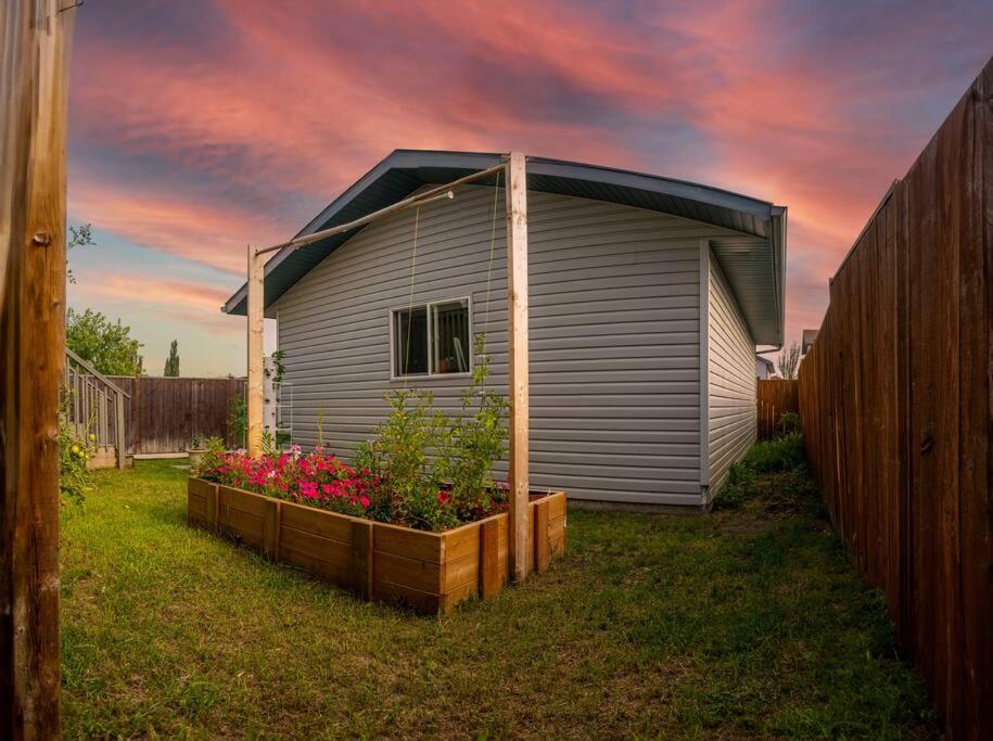 Pink door-ed wonder photo 2