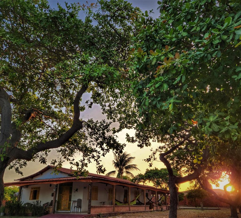 Sítio SPA Céu De Verdade , Praia de Barra Nova , Ceará photo 3