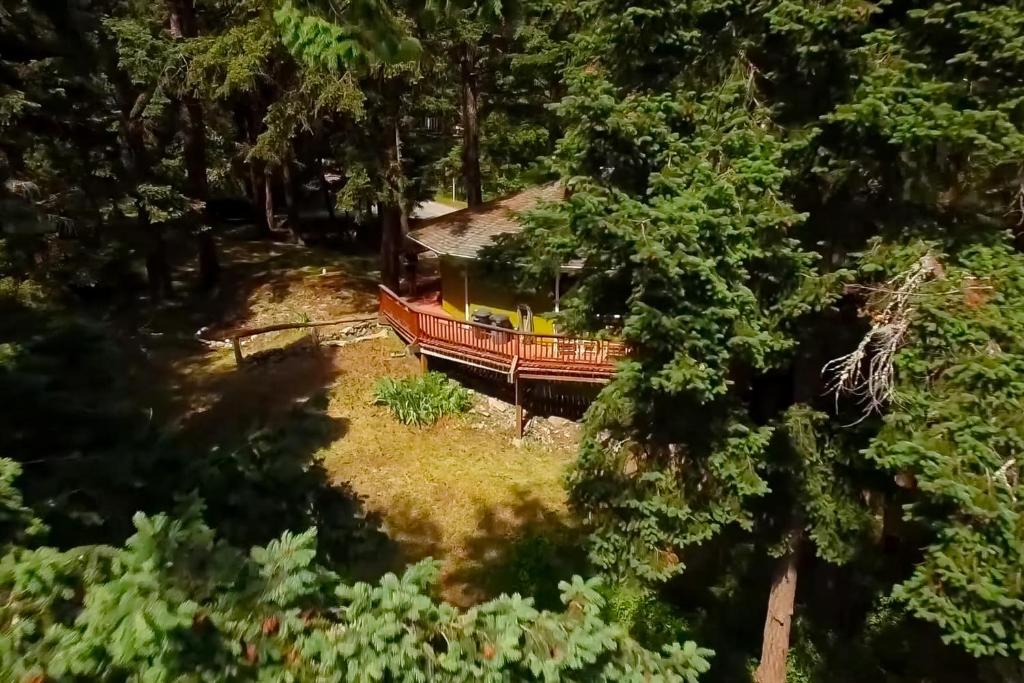 The Island Treehouse photo 1