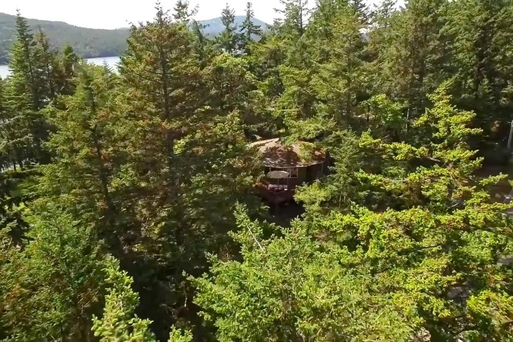 The Island Treehouse photo 4