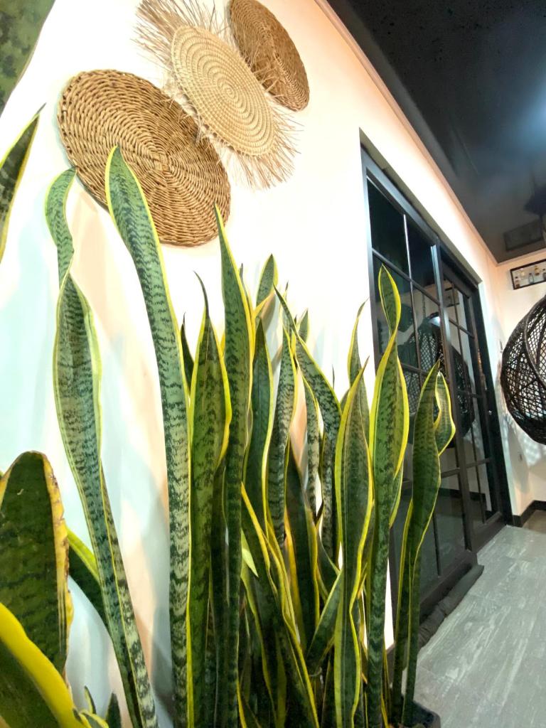 Casa en San Clemente con piscina photo 4