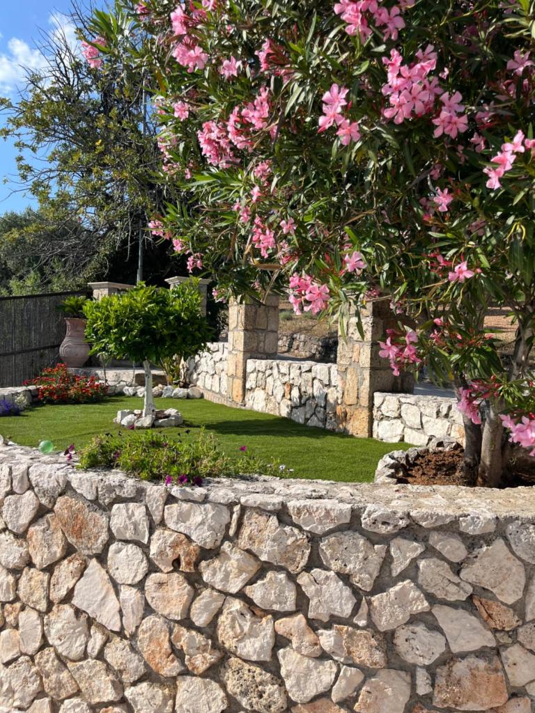 Villa Giasemi photo 1