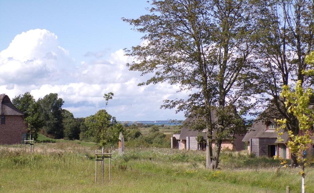 Reetdorf Geltinger Birk Malerhaus Erlenbruch photo 1