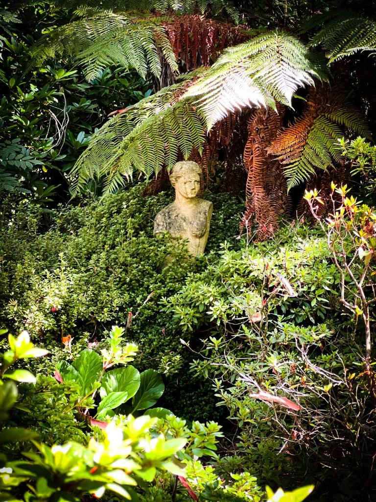 Birdwood Guesthouse photo 1