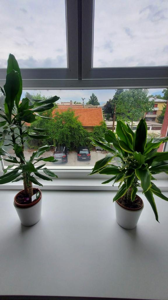Apartmani blue i green photo 4