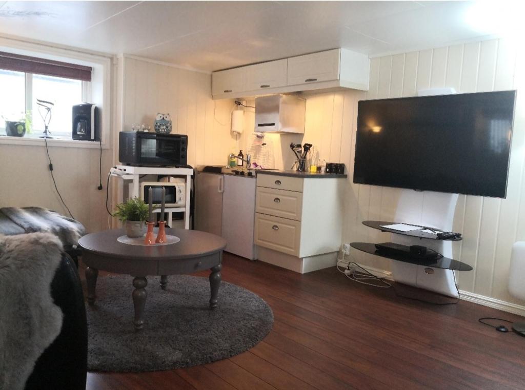 Studioleilighet ved stranden og hvalsenteret. Sentrum photo 2