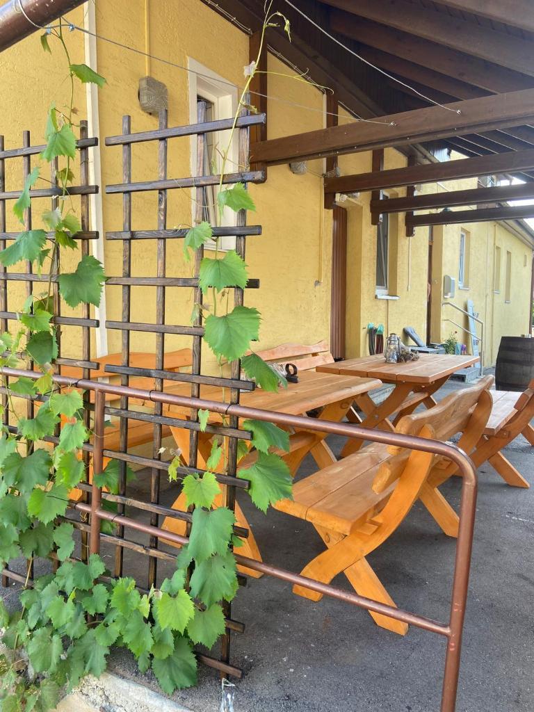 Gasthaus Zur Rose photo 1