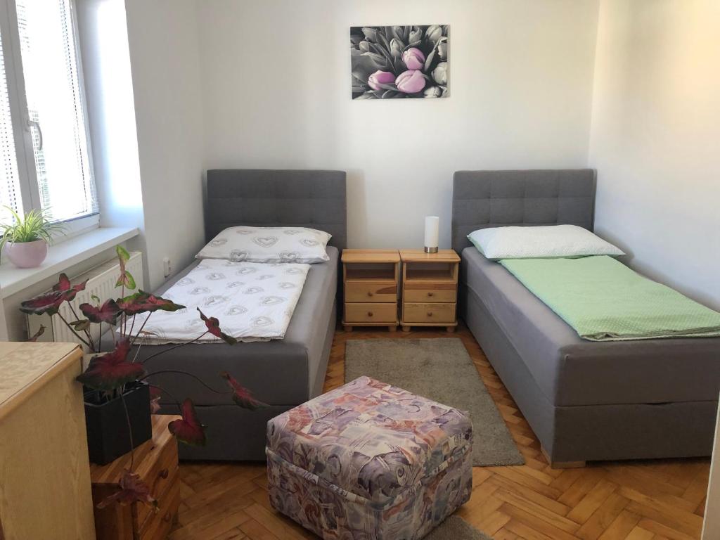 Apartmán v Týně nad Vltavou photo 4