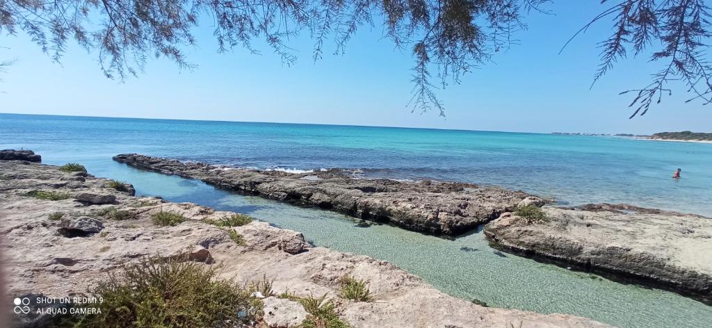 Punta Grossa - Porto Cesareo photo 1