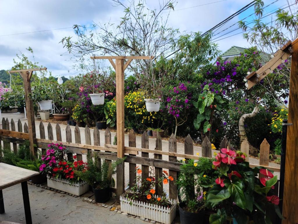 Cleverlearn's Homestay & Coffee photo 4