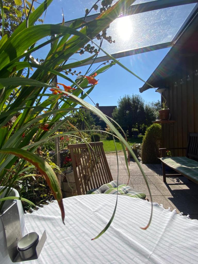 Erichshagener Ferienlaube photo 4