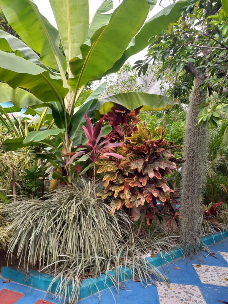 Eco-Cafe El Mirador photo 2