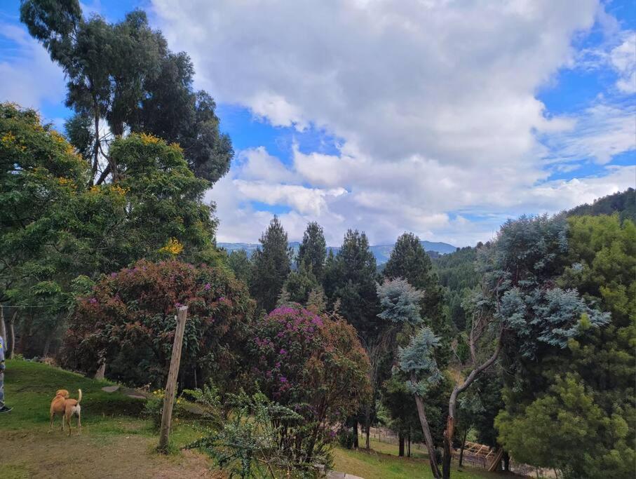 Un paraíso en la montaña Bogotá Verjon Via La Calera photo 1